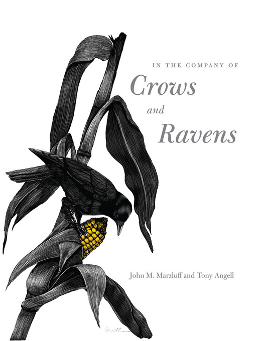 Title details for In the Company of Crows and Ravens by John M. Marzluff - Wait list